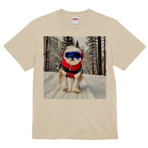 V[Y[ TVc  j[NfUCY LbY t@  t vg lJWA 킢 lԗp Mtg I ҏ΍  V[Y[ ~ XL[EFA S[O