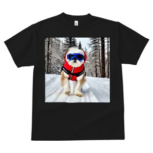 V[Y[ TVc  j[NfUCfB[X t@  t vg lJWA 킢 lԗp Mtg I ҏ΍  V[Y[ ~ XL[EFA S[O