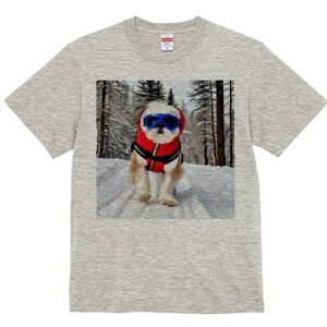 V[Y[ TVc  j[NfUCfB[X t@  t vg lJWA 킢 lԗp Mtg I ҏ΍  V[Y[ ~ XL[EFA S[O