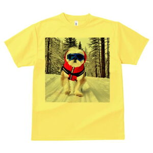 V[Y[ TVc  j[NfUCfB[X t@  t vg lJWA 킢 lԗp Mtg I ҏ΍  V[Y[ ~ XL[EFA S[O