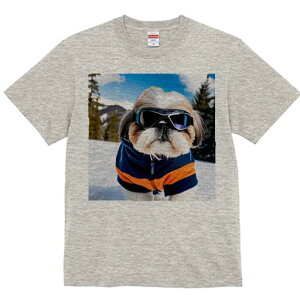 V[Y[ TVc  j[NfUCfB[X t@  t vg lJWA 킢 lԗp Mtg I ҏ΍ XL[ V[Y[ XL[EFA S[O R