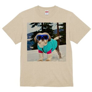 V[Y[ TVc  j[NfUCfB[X t@  t vg lJWA 킢 lԗp Mtg I ҏ΍  V[Y[ ~ XL[EFA S[O