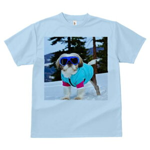 V[Y[ TVc  j[NfUCfB[X t@  t vg lJWA 킢 lԗp Mtg I ҏ΍  V[Y[ ~ XL[EFA S[O