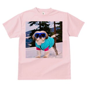 V[Y[ TVc  j[NfUCY LbY t@  t vg lJWA 킢 lԗp Mtg I ҏ΍  V[Y[ ~ XL[EFA S[O