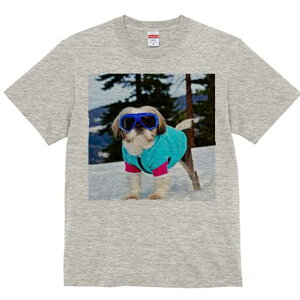 V[Y[ TVc  j[NfUCY LbY t@  t vg lJWA 킢 lԗp Mtg I ҏ΍  V[Y[ ~ XL[EFA S[O