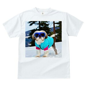 �V�[�Y�[ T�V���c ���� ���j�[�N�f�U�C�����f�B�[�X ���t�@�� ���� �t�� �v�����g ��l�J�W���A�� ���킢�� �l�ԗp �M�t�g ���I �ҏ��΍� �� �V�[�Y�[ �~ �X�L�[�E�F�A �S�[�O��