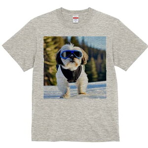 V[Y[ TVc  j[NfUCfB[X t@  t vg lJWA 킢 lԗp Mtg I ҏ΍  V[Y[ ~ XL[EFA S[O