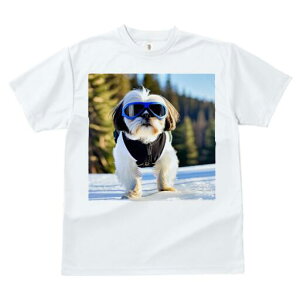 V[Y[ TVc  j[NfUCY LbY t@  t vg lJWA 킢 lԗp Mtg I ҏ΍  V[Y[ ~ XL[EFA S[O