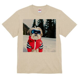 V[Y[ TVc  j[NfUCfB[X t@  t vg lJWA 킢 lԗp Mtg I ҏ΍ XL[EFA V[Y[  ~ XL[S[O