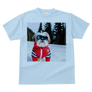 V[Y[ TVc  j[NfUCfB[X t@  t vg lJWA 킢 lԗp Mtg I ҏ΍ XL[EFA V[Y[  ~ XL[S[O