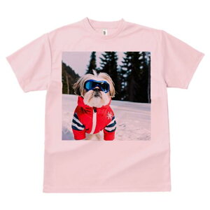 V[Y[ TVc  j[NfUCY LbY t@  t vg lJWA 킢 lԗp Mtg I ҏ΍ XL[EFA V[Y[  ~ XL[S[O