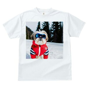 V[Y[ TVc  j[NfUCfB[X t@  t vg lJWA 킢 lԗp Mtg I ҏ΍ XL[EFA V[Y[  ~ XL[S[O