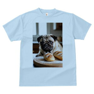 pO TVc  j[NfUCfB[X t@  t vg lJWA 킢 lԗp Mtg I ҏ΍ p pO Ăَq  Hi