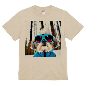 V[Y[ TVc  j[NfUCY LbY t@  t vg lJWA 킢 lԗp Mtg I ҏ΍ XL[EFA V[Y[ XL[S[O ~ 