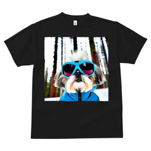 V[Y[ TVc  j[NfUCfB[X t@  t vg lJWA 킢 lԗp Mtg I ҏ΍ XL[EFA V[Y[ XL[S[O ~ 