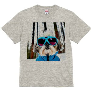 V[Y[ TVc  j[NfUCY LbY t@  t vg lJWA 킢 lԗp Mtg I ҏ΍ XL[EFA V[Y[ XL[S[O ~ 