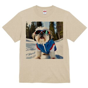 V[Y[ TVc  j[NfUCfB[X t@  t vg lJWA 킢 lԗp Mtg I ҏ΍ XL[ V[Y[  ~ XL[EFA