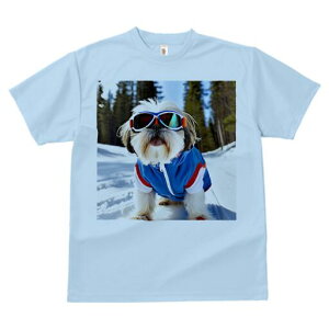 V[Y[ TVc  j[NfUCY LbY t@  t vg lJWA 킢 lԗp Mtg I ҏ΍ XL[ V[Y[  ~ XL[EFA