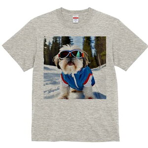 V[Y[ TVc  j[NfUCY LbY t@  t vg lJWA 킢 lԗp Mtg I ҏ΍ XL[ V[Y[  ~ XL[EFA