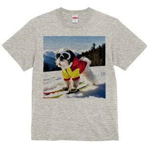 V[Y[ TVc  j[NfUCfB[X t@  t vg lJWA 킢 lԗp Mtg I ҏ΍ XL[ V[Y[  XL[EFA S[O