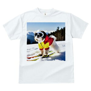 V[Y[ TVc  j[NfUCfB[X t@  t vg lJWA 킢 lԗp Mtg I ҏ΍ XL[ V[Y[  XL[EFA S[O