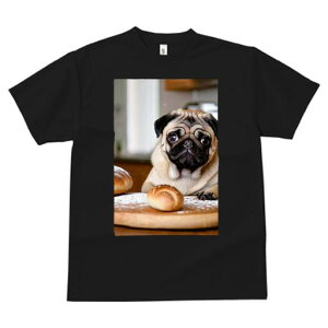 pO TVc  j[NfUCfB[X t@  t vg lJWA 킢 lԗp Mtg I ҏ΍ p pO Ăَq