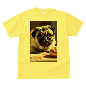 pO TVc  j[NfUCfB[X t@  t vg lJWA 킢 lԗp Mtg I ҏ΍ p pO Ăَq