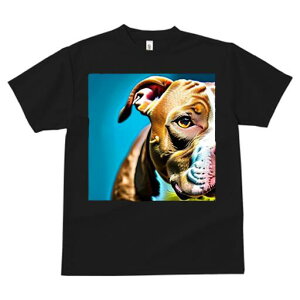 AJsbgueA TVc  j[NfUCfB[X t@  t vg lJWA 킢 lԗp Mtg I ҏ΍ wi AJsbgue