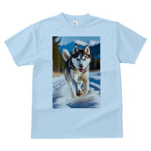 VxAnXL[ TVc  j[NfUCfB[X t@  t vg lJWA 킢 lԗp Mtg I ҏ΍  VxAnXL[ ~ R