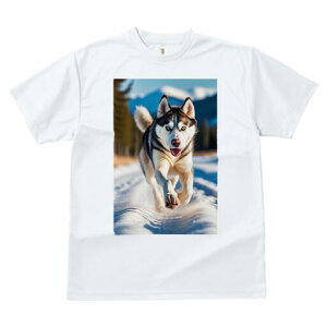 VxAnXL[ TVc  j[NfUCfB[X t@  t vg lJWA 킢 lԗp Mtg I ҏ΍  VxAnXL[ ~ R