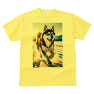 VxAnXL[ TVc  j[NfUCfB[X t@  t vg lJWA 킢 lԗp Mtg I ҏ΍  VxAnXL[ ~ z R