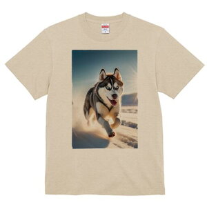 VxAnXL[ TVc  j[NfUCfB[X t@  t vg lJWA 킢 lԗp Mtg I ҏ΍  VxAnXL[ ~ z