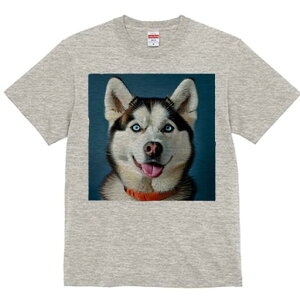 VxAnXL[ TVc  j[NfUCfB[X t@  t vg lJWA 킢 lԗp Mtg I ҏ΍  VxAnXL[