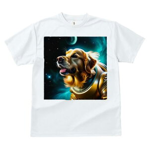 S[fgo[ TVc  j[NfUCfB[X t@  t vg lJWA 킢 lԗp Mtg I ҏ΍ F S[fgo[ F 