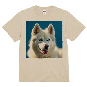 nXL[ TVc  j[NfUCfB[X t@  t vg lJWA 킢 lԗp Mtg I ҏ΍ nXL[