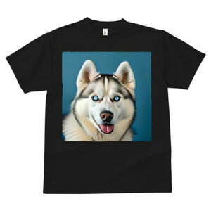 VxAnXL[ TVc  j[NfUCfB[X t@  t vg lJWA 킢 lԗp Mtg I ҏ΍ VxAnXL[