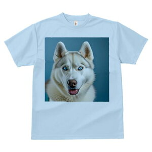 VxAnXL[ TVc  j[NfUCfB[X t@  t vg lJWA 킢 lԗp Mtg I ҏ΍ VxAnXL[