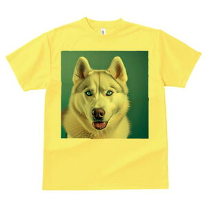 VxAnXL[ TVc  j[NfUCfB[X t@  t vg lJWA 킢 lԗp Mtg I ҏ΍ VxAnXL[