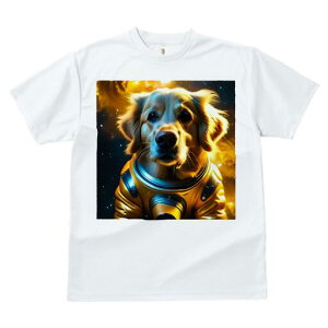 S[fgo[ TVc  j[NfUCfB[X t@  t vg lJWA 킢 lԗp Mtg I ҏ΍ F S[fgo[ F 