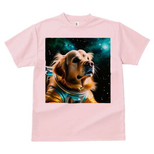 S[fgo[ TVc  j[NfUCfB[X t@  t vg lJWA 킢 lԗp Mtg I ҏ΍ F S[fgo[ F