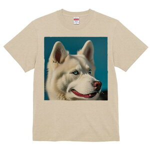 nXL[ TVc  j[NfUCfB[X t@  t vg lJWA 킢 lԗp Mtg I ҏ΍ nXL[