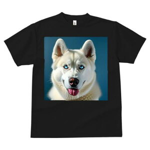 nXL[ TVc  j[NfUCfB[X t@  t vg lJWA 킢 lԗp Mtg I ҏ΍ nXL[