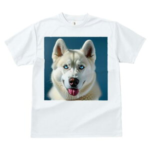 nXL[ TVc  j[NfUCfB[X t@  t vg lJWA 킢 lԗp Mtg I ҏ΍ nXL[