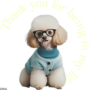 Kl gCv[h  NbVJo[ 45×45cm Aj}   NbV{̕t `