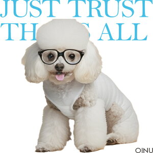 Kl gCv[h  NbVJo[ 45×45cm Aj}   NbV{̕t `