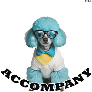 Kl v[h  NbVJo[ 45×45cm Aj}   NbV{̕t `