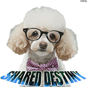 Kl gCv[h lN^C NbVJo[ 45×45cm Aj}   NbV{̕t `