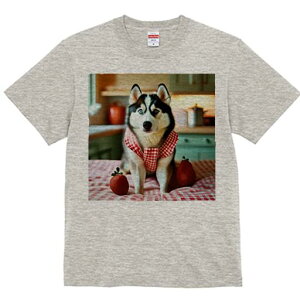 VxAnXL[ TVc  j[NfUCfB[X t@  t vg lJWA 킢 lԗp Mtg I ҏ΍ C`S VxAnXL[ MK