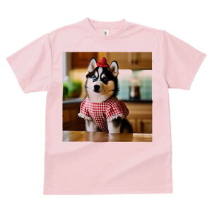 VxAnXL[ TVc  j[NfUCfB[X t@  t vg lJWA 킢 lԗp Mtg I ҏ΍  VxAnXL[ `FbN