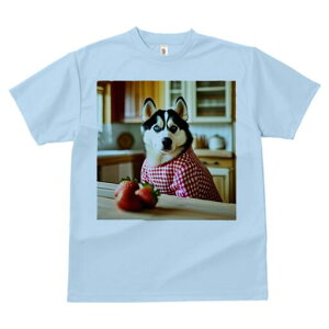 VxAnXL[ TVc  j[NfUCfB[X t@  t vg lJWA 킢 lԗp Mtg I ҏ΍ C`S VxAnXL[ Lb`